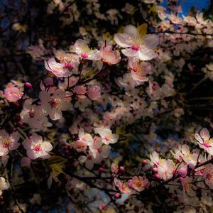 273daf68d1c19eebb7b81712f0839f9bfd46af53_1