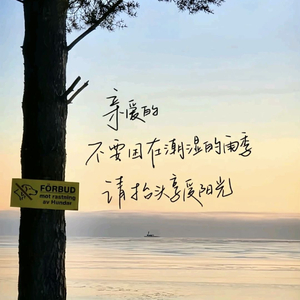 《孤途有光》