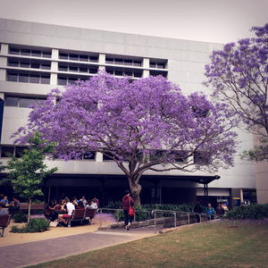 给二十岁的自己