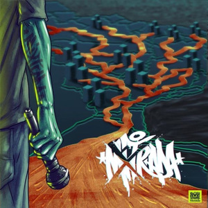 Flow Toyotomi Hideyoshi