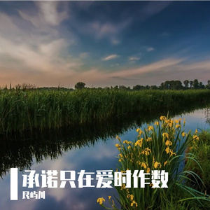 承诺只在爱时作数