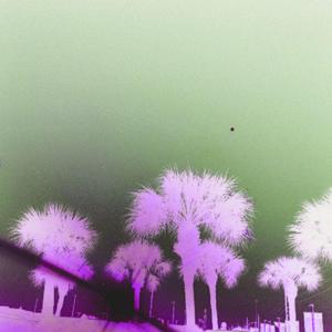 Extravaganza (Slowed Remix)