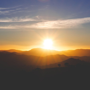 Rising Light