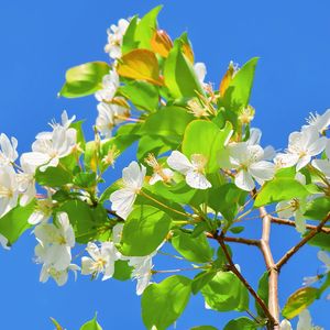 微凉的风(纯音乐)