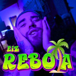 REBOTA