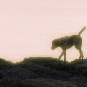 ภาวนาให้เธอกลับมา