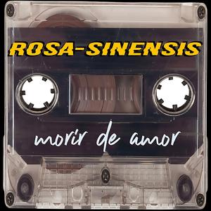 Morir de Amor (Reggaeton Version)