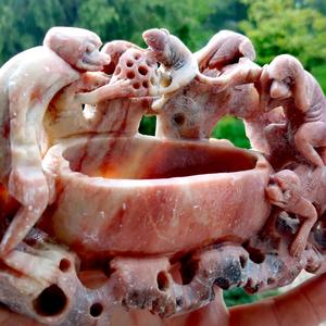 Окуни в Боржоми