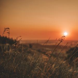 诙谐搞笑 我最爱的玩具