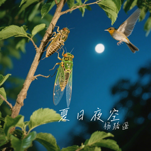 夏日夜空