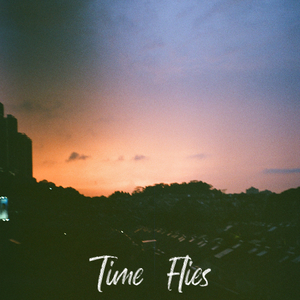 Time Flies