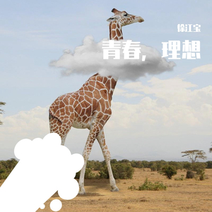 青春，理想