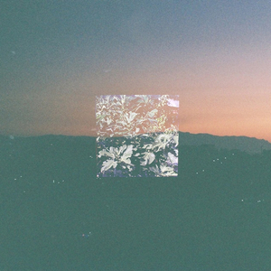 After I See the Birds at the Sky