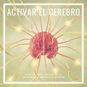 Menos Estrés, Mejor Estudio