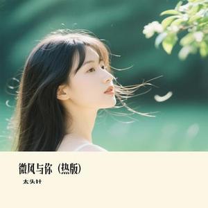 微风与你