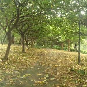 #02-03-一堆不知道什么玩意儿