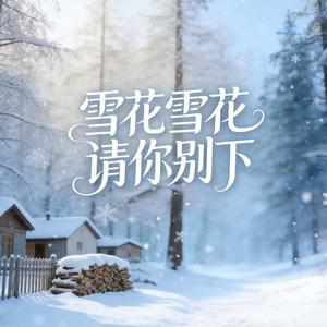 雪花雪花请你别下