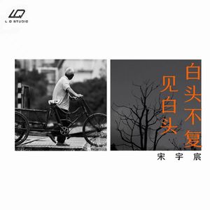 白头不复见白头