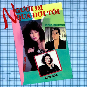 Con đường tình ta đi