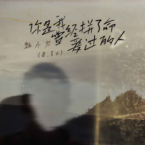你是我曾经拼了命爱过的人 (DJ默涵版)
