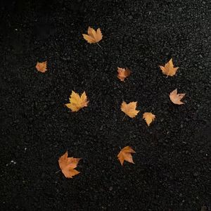 秋冬指南（Prod.Siren & EVO MUSIC）