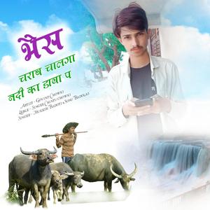 भैस चराब चालगा नदी का डावा प