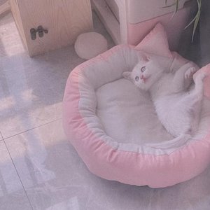 关于你的十一次幻想