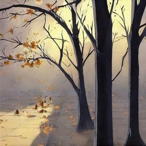 影子说 (19秒片段)