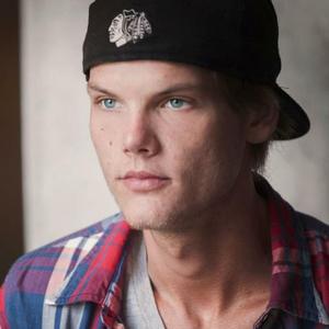 Avicii - Half The Man（翻自 Avicii）