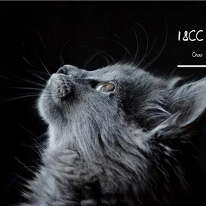 18CC（Free Beat）