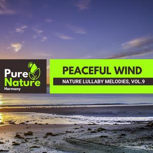 Plantation Dawn Wetlands