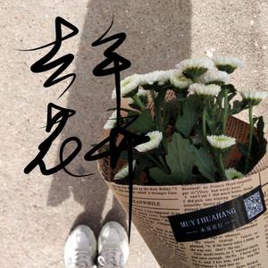 去年花开（翻自 苏星婕）