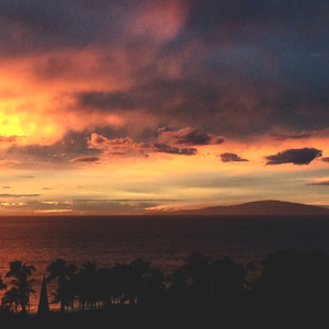 Hurricane Weinstein.