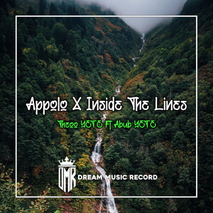 Appolo X Inside The Lines (Remix)