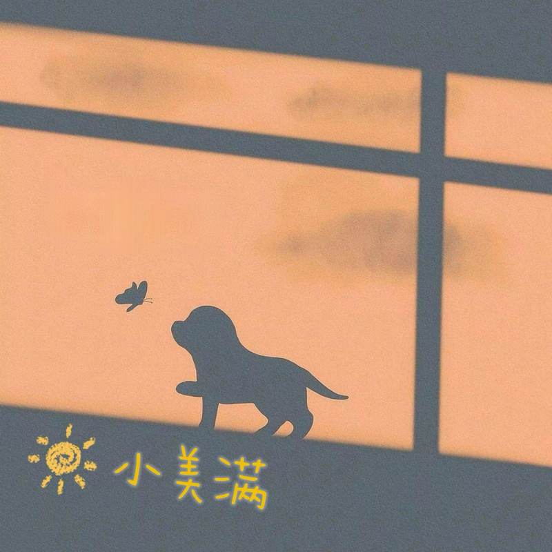 小美满封面