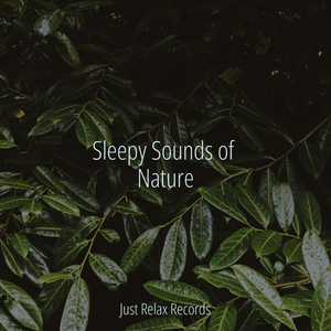 Stellar Sparkle Symphony