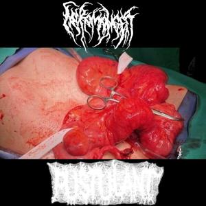 Recounting the Plot of a Straight to VHS Slasher from 1987