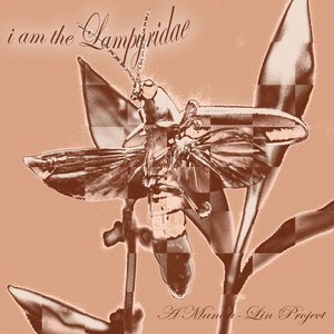 I Am the Lampyridae