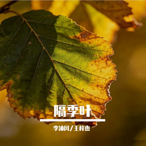 隔季叶