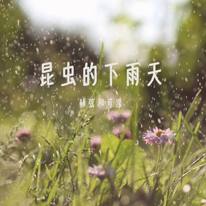 昆虫的下雨天 伴奏