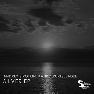 Silver (Niktoris Remix)