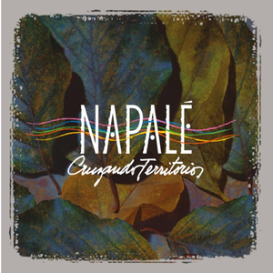 ¿En Dónde Tejemos la Ronda?