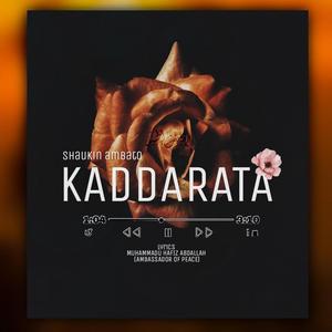 Qaddarata