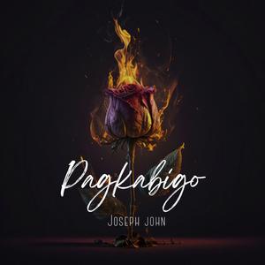 Pagkabigo