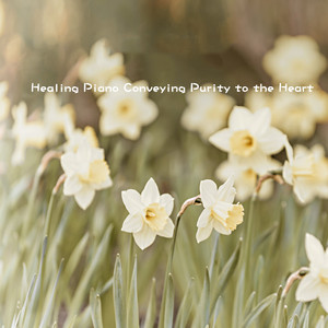 꼬마아이 Little Child