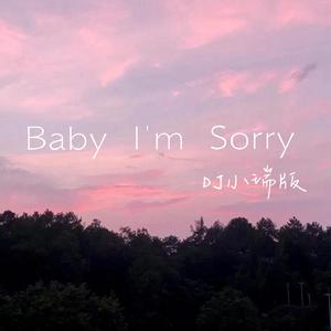 Baby I'm Sorry（DJ小瑞版）