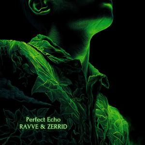 Perfect Echo