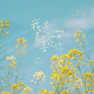 我是真的喜欢你