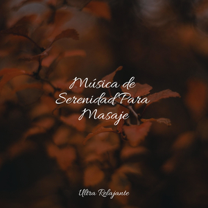 Probando Del Océano