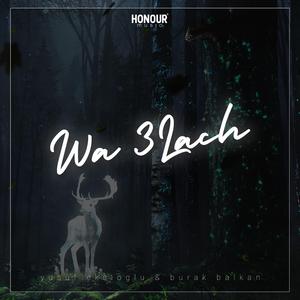 Wa 3lach (feat. Burak Balkan)